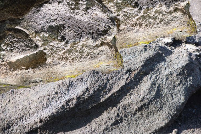 Nahaufnahme eines Felsens, auf dem sich gelbe Flechten angesiedelt haben