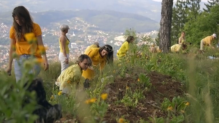 Filmszene mit mehreren gelb gekleideten Frauen, die an einem Waldrand Blumen planzen.