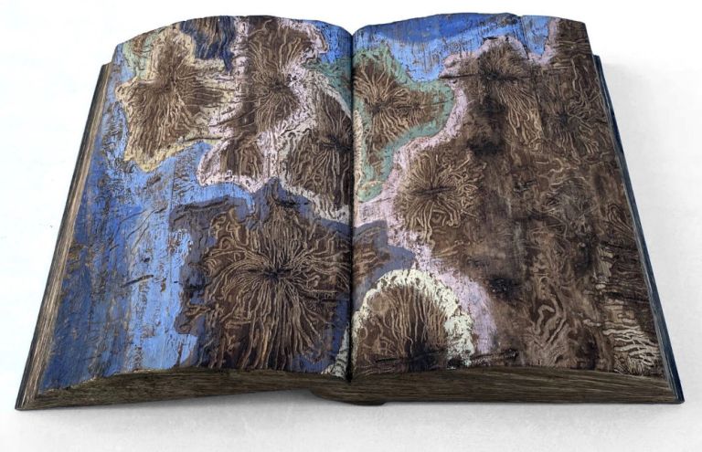 Ein Buch das ganz aus Holz besteht und auf dessen Seiten man Astlöcher und die Gänge von Larven sieht.