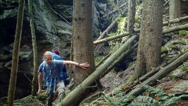 Ein ein junger Mann mit Rucksack klettert einen felsigen Hang nach oben auf dem zwischen Farn auch umgestürzte Bäume liegen.