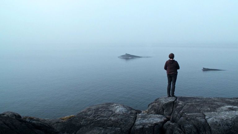 Eine Frau steht auf einem kahlen Felsen und beobachtet zwei Wale, die im fast spiegelglatten Meer schwimmen.