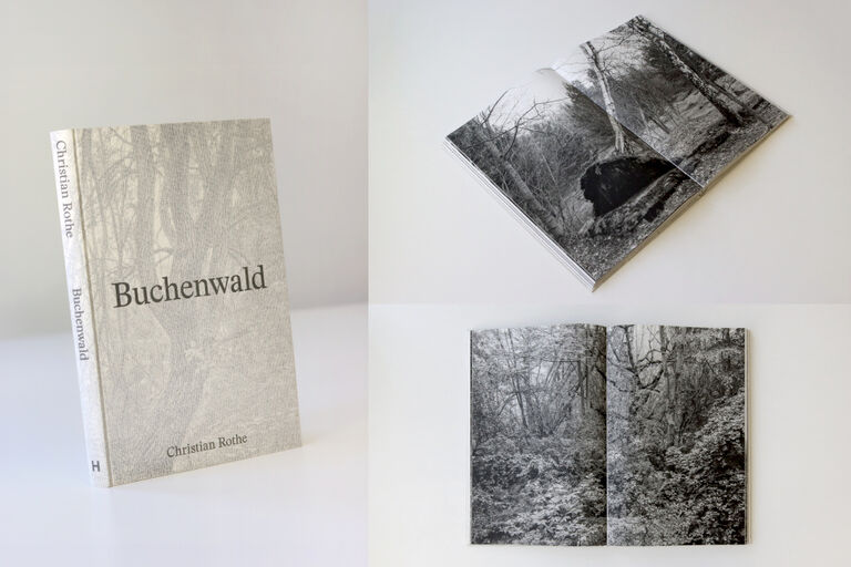 Collage aus dem Cover und zwei Innenansichten des Buches mit Fotos des Waldes auf dem Ettersberg