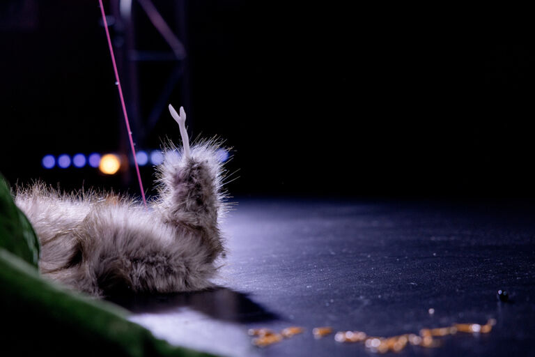 Ein flauschiger Gegenstand, der an eine Raupe erinnert, liegt auf einer leeren dunklen Bühne.