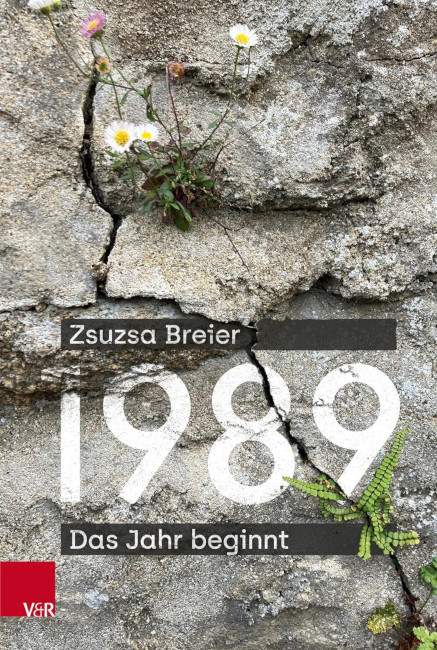 Auf dem Buchumschlag ist eine Betonplatte mit Rissen zu sehen, aus denen kleine Planzen wachsen.