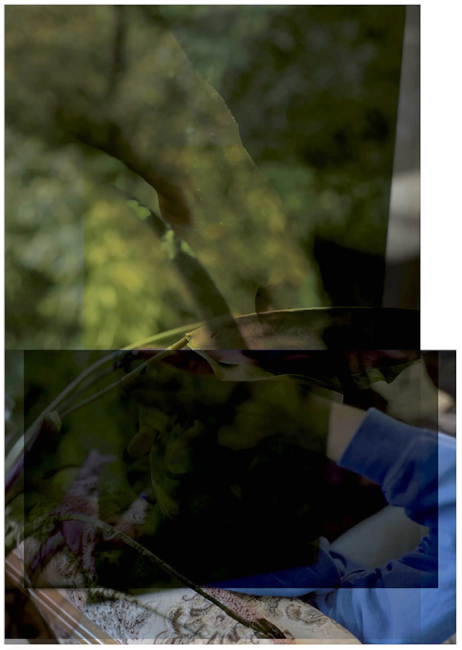 Collage aus drei Fotos, die sich überlagern und auf denen das Motiv nicht mehr zu erkennen ist