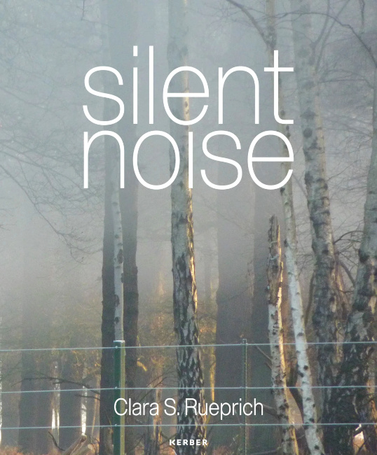 Buchcover mit einem Foto von Birken in einem nebligen Wald