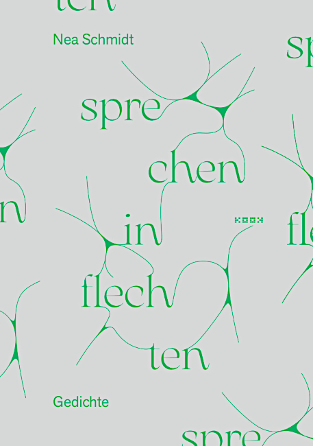 Auf dem Buchumschlag sind einzelne Buchstaben des Titels "sprechen in flechten" durch Linien verbunden.